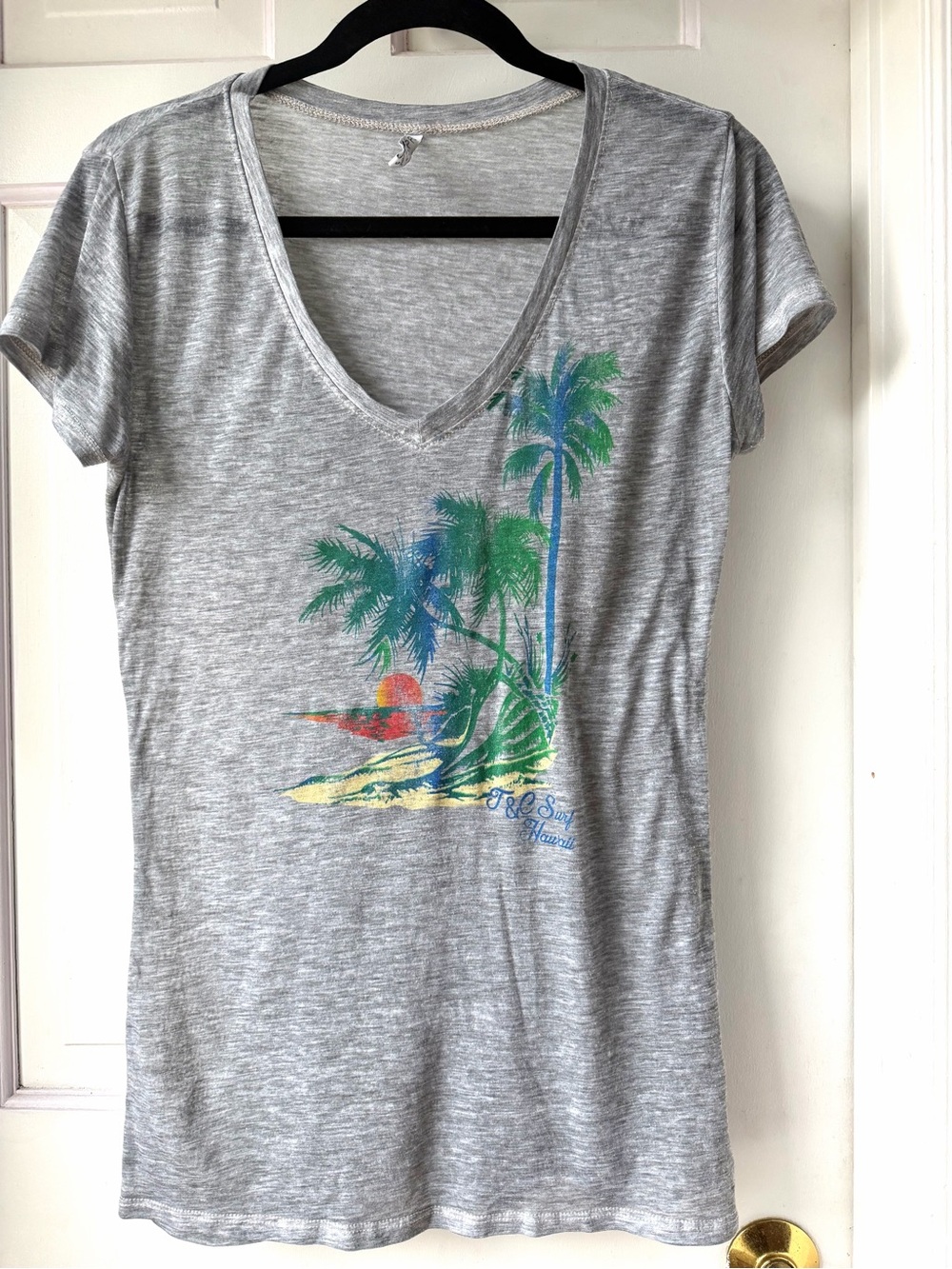 Z Supply Grey V-Neck Hawaii Graphic Tee Size Small